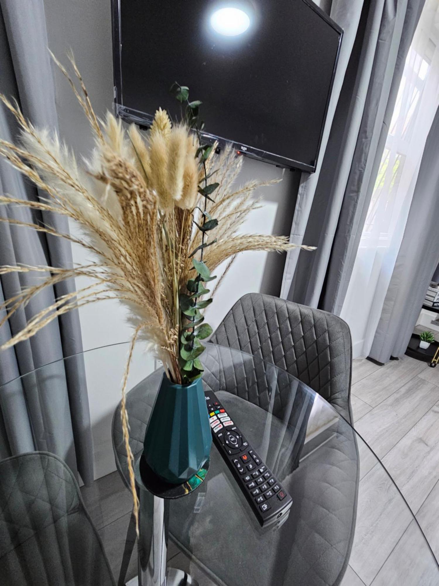 Apartment Cozy Ground-floor Studio, Excellent Access