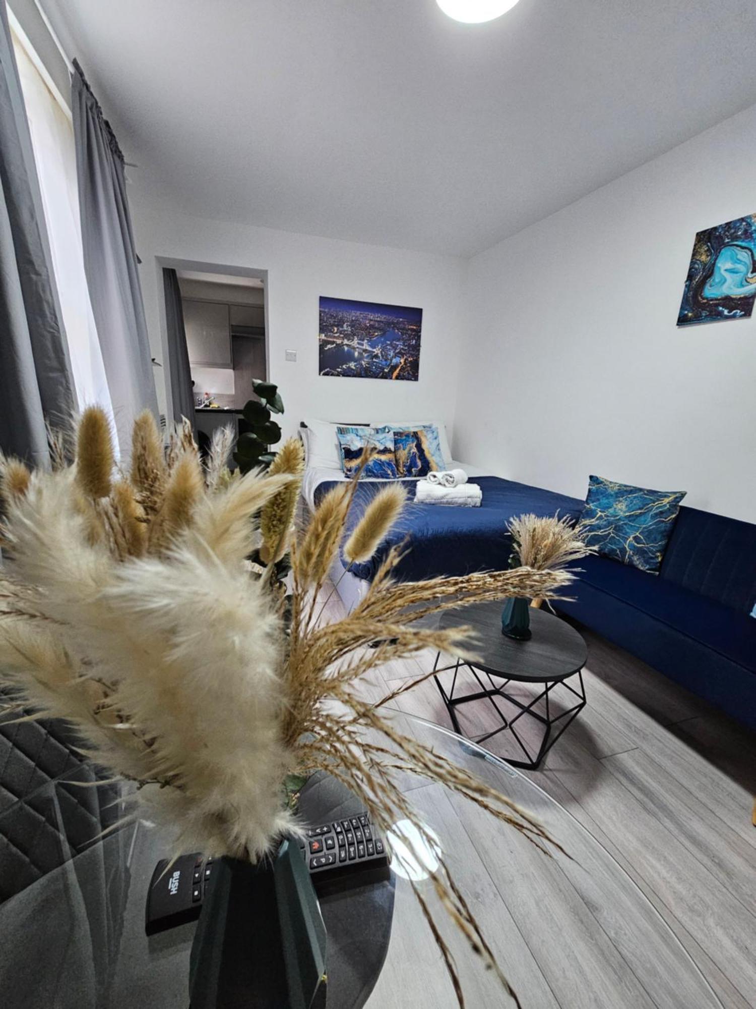 Apartment Cozy Ground-floor Studio, Excellent Access London