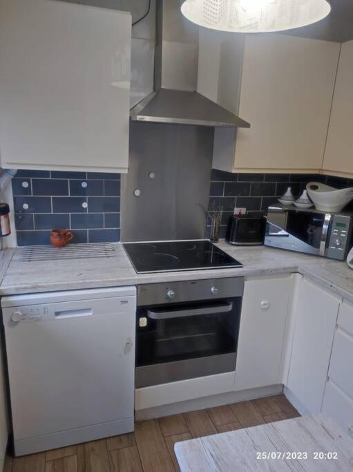 Villa Cosy House Close To Bridge London