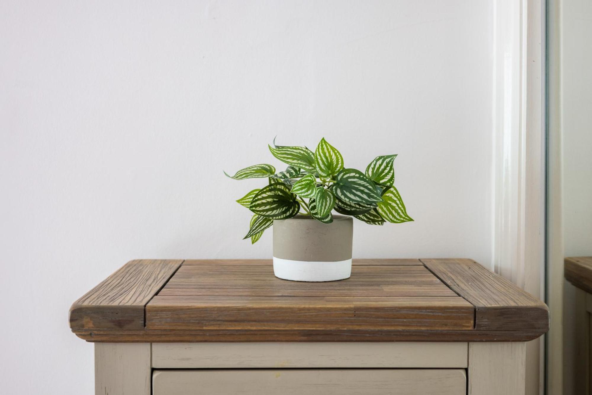 Appartamento The Fitzrovia Collection Londra