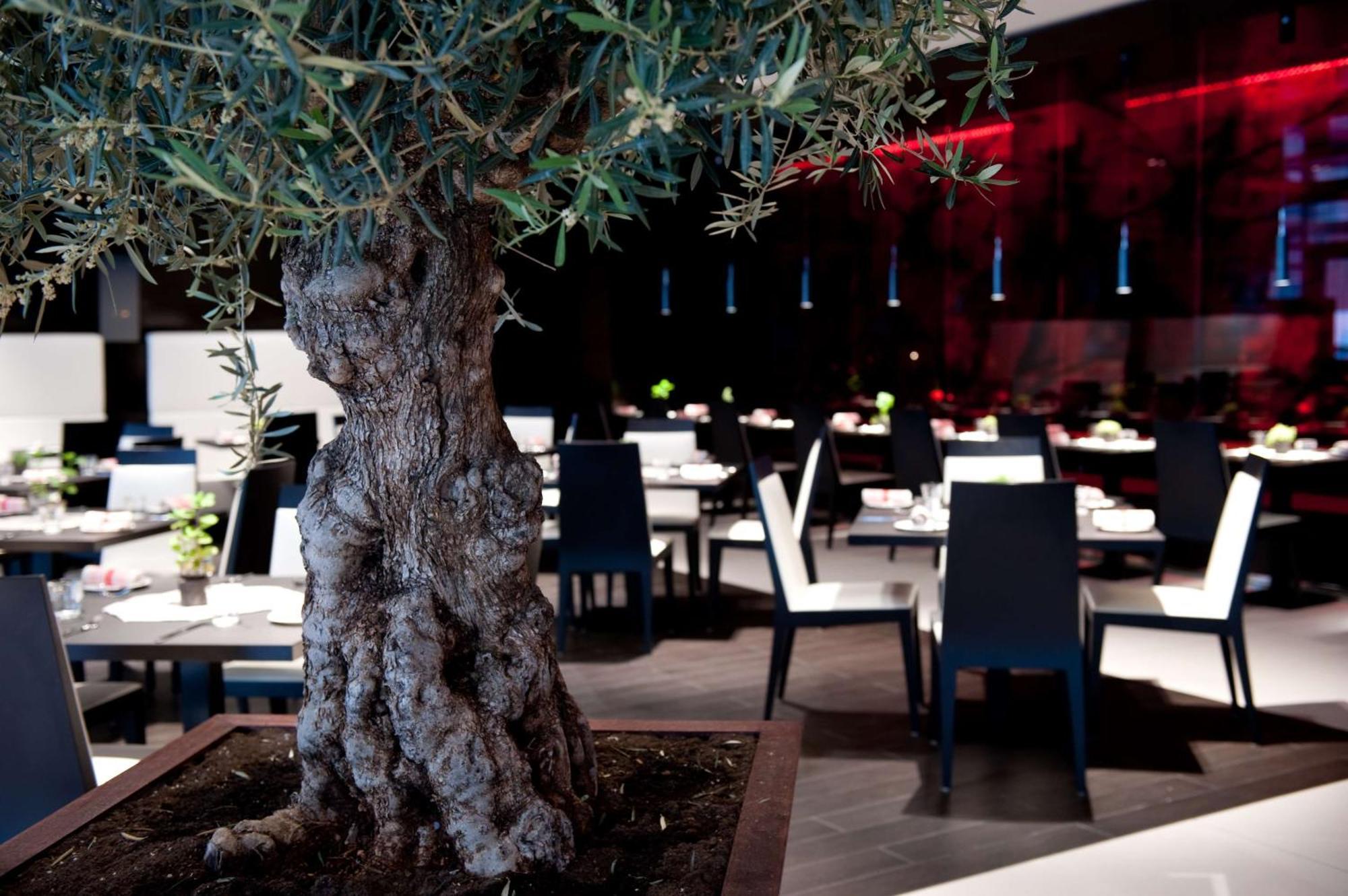 Park Plaza Westminster Bridge Hotel 4*