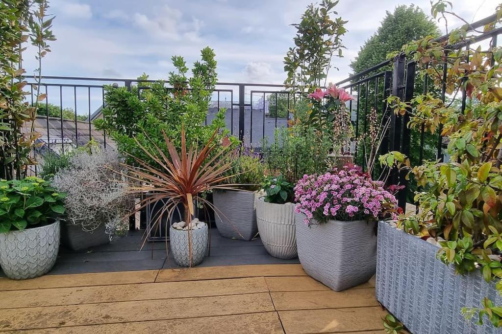 Highgate Maisonette With Roof Terrace Lejlighed