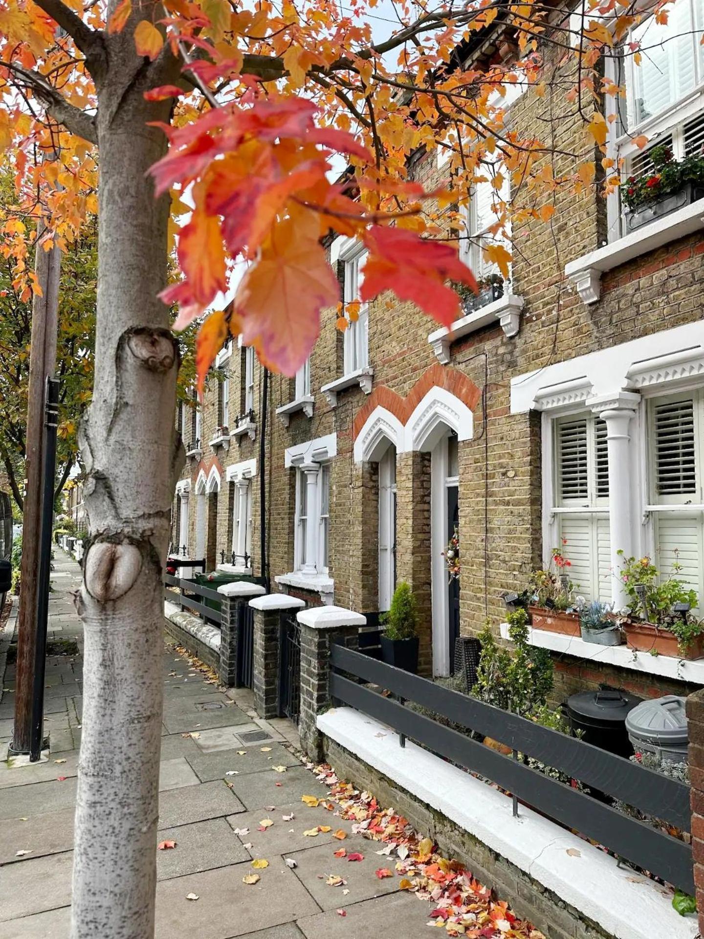 Charming In Battersea Lejlighed