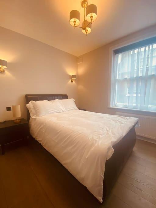 Amazing Newly Refurbished Mews House In W1