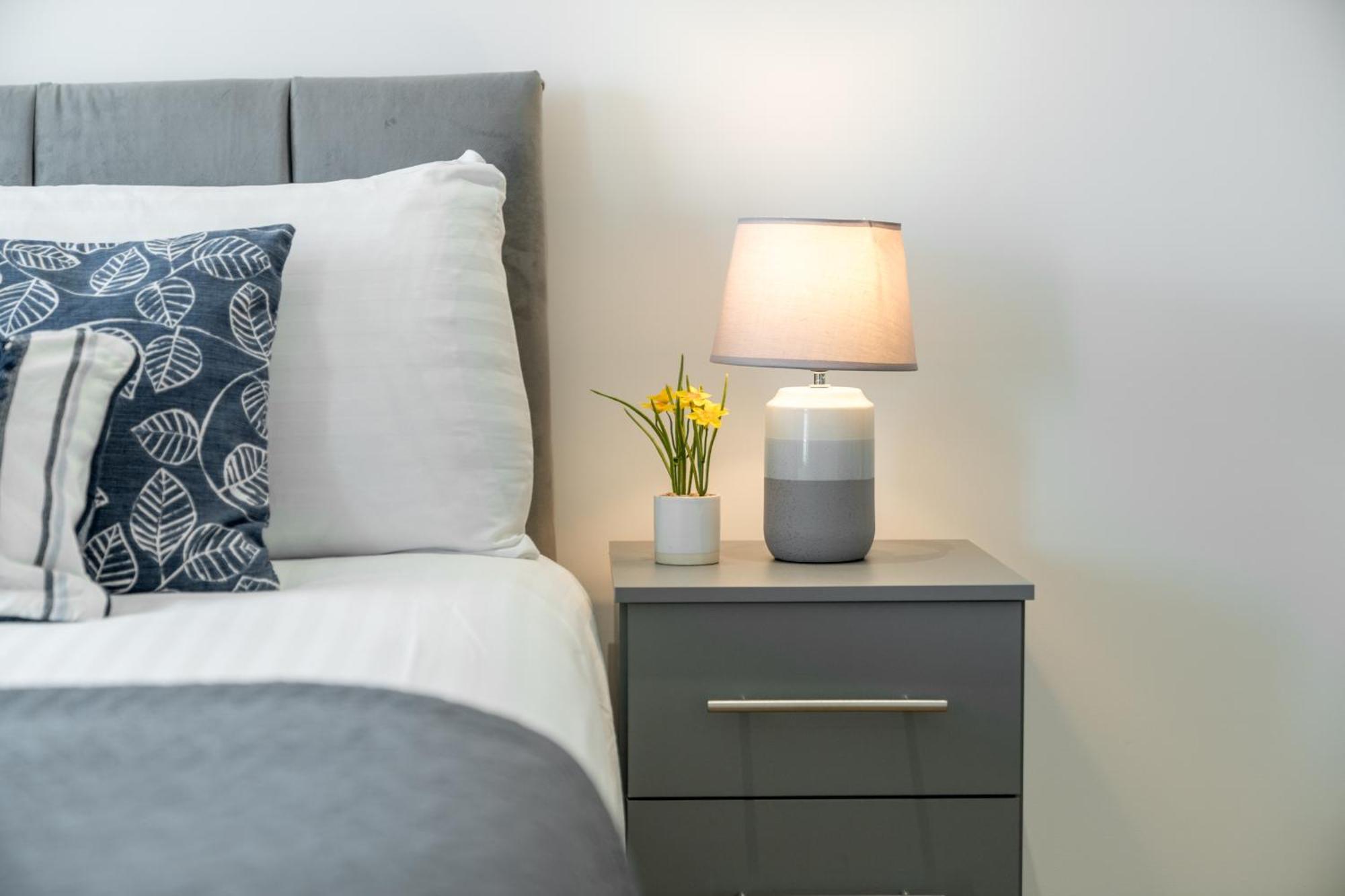 Skyvillion - River Thames Floor By Woolwich Ferry, Mins To Excel, O2 Arena , Airport With Parking Londen