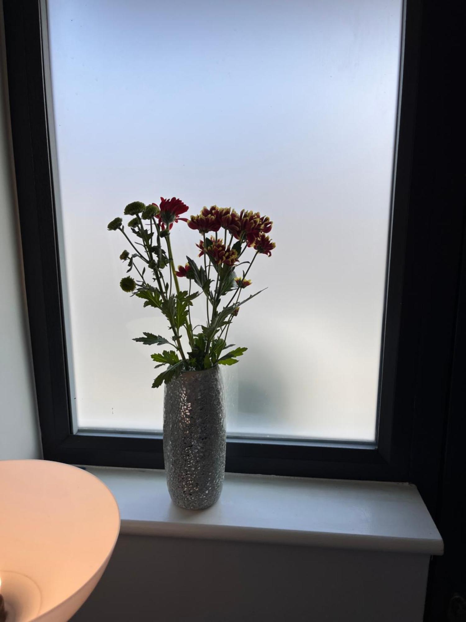 From Cosy