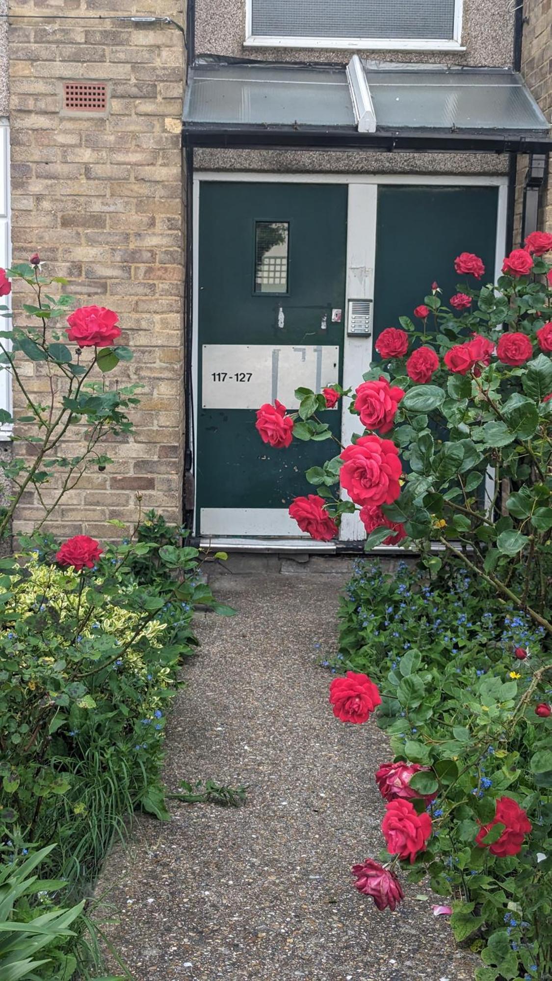 Alloggio in famiglia Beautiful Double Bedroom In Shared Flat Near Olympic Park In Stratford *