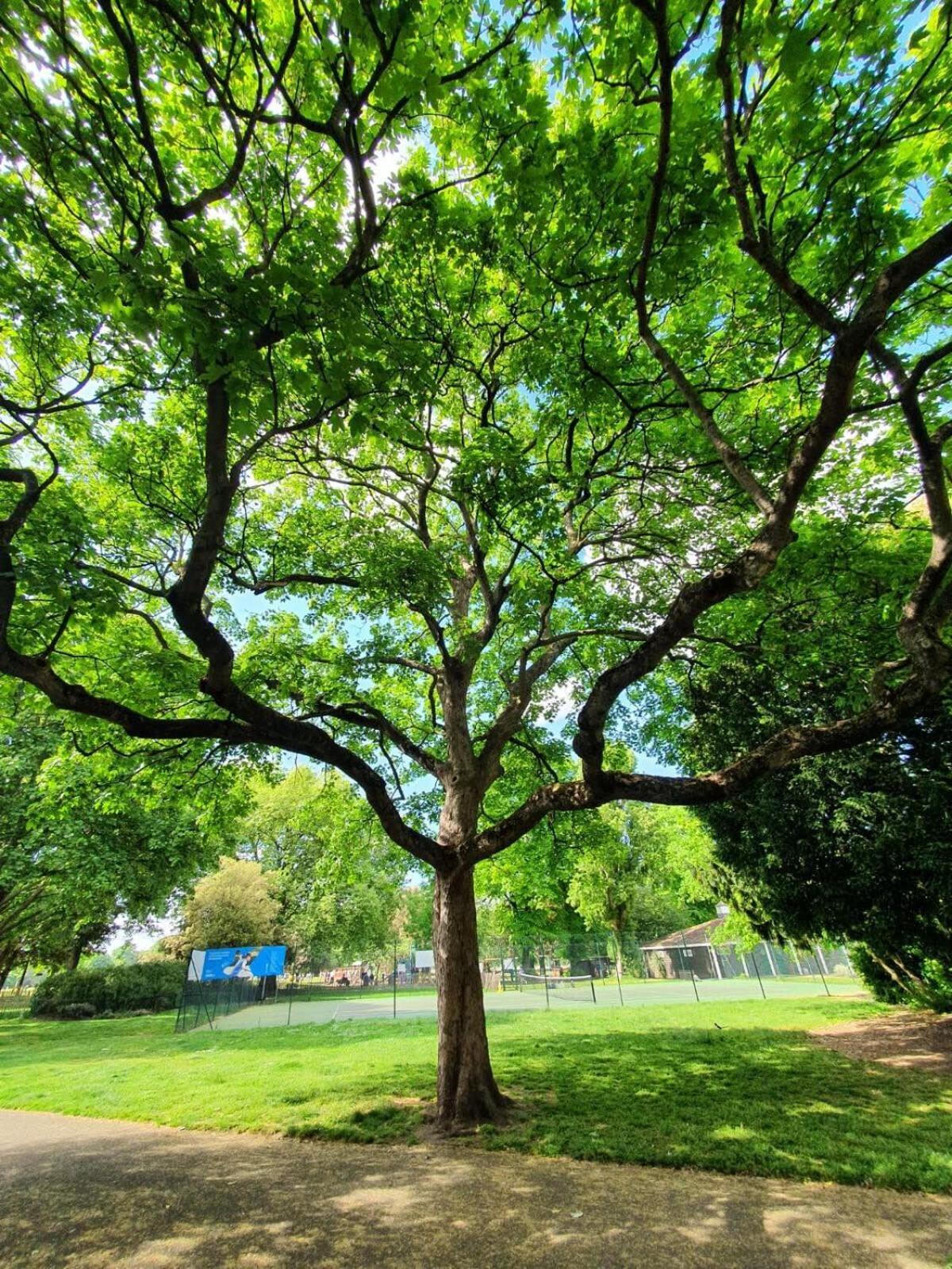Trustay Wandsworth * Londra
