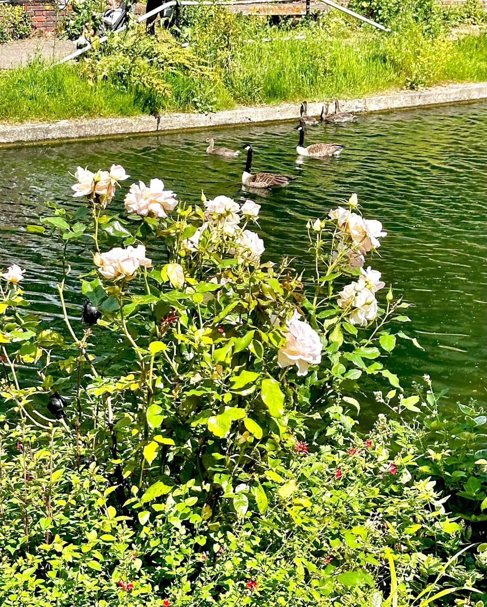 Amazing Location - Of London- 2 Bedroom Stunning Canal View House With Private Garden,parking & Balcony Appartamento Londra