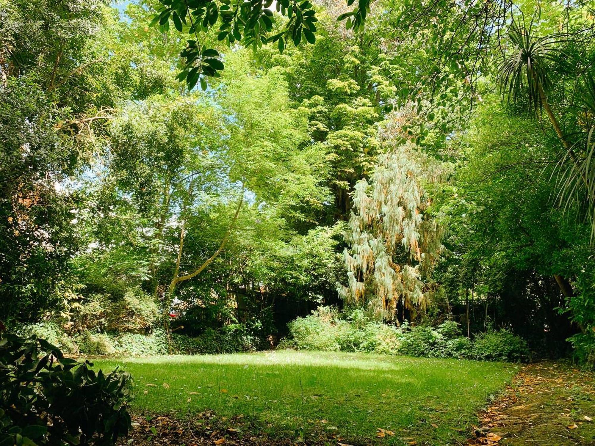 Leilighet The Garden *