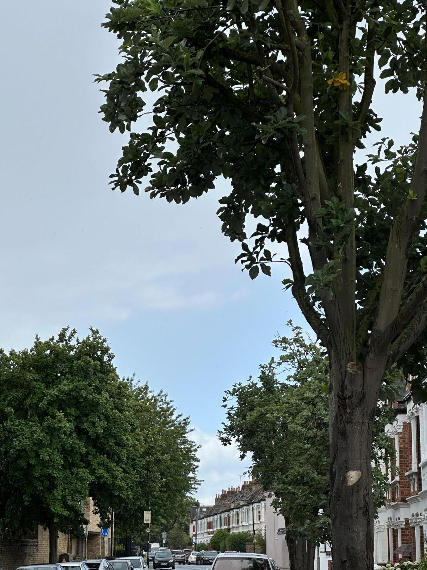 Lägenhet Budget 2 Bedroom Close To Hyde Park *
