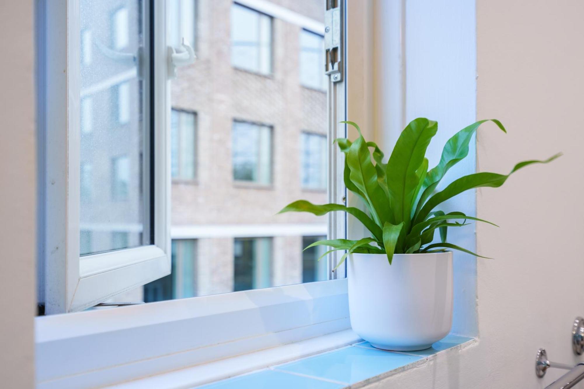 Stylish & Spacious Peckham Flat Appartement *