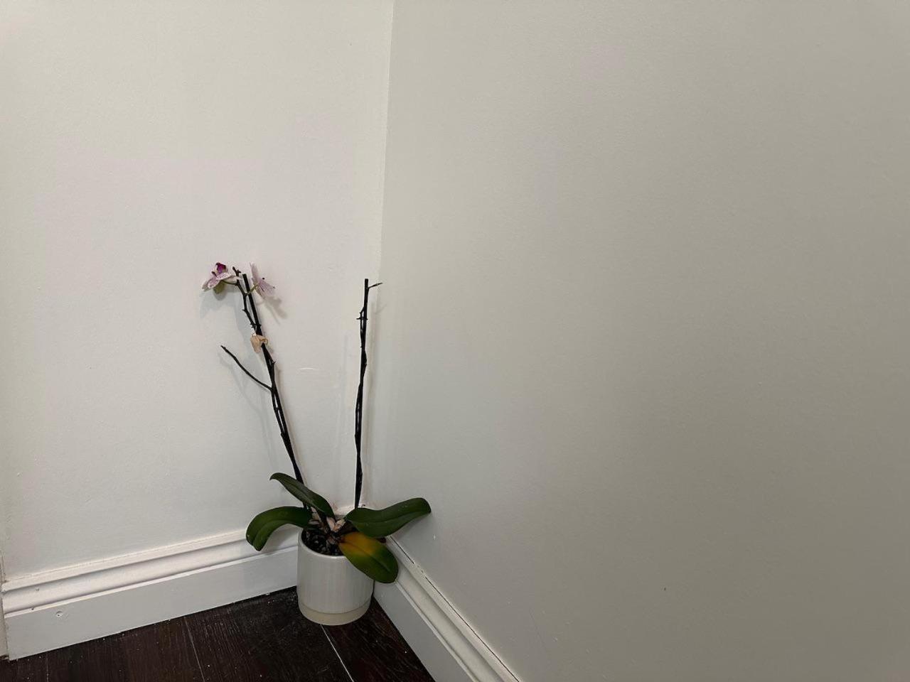 Stylish 1br W Fireplace & High-speed Wifi Lägenhet