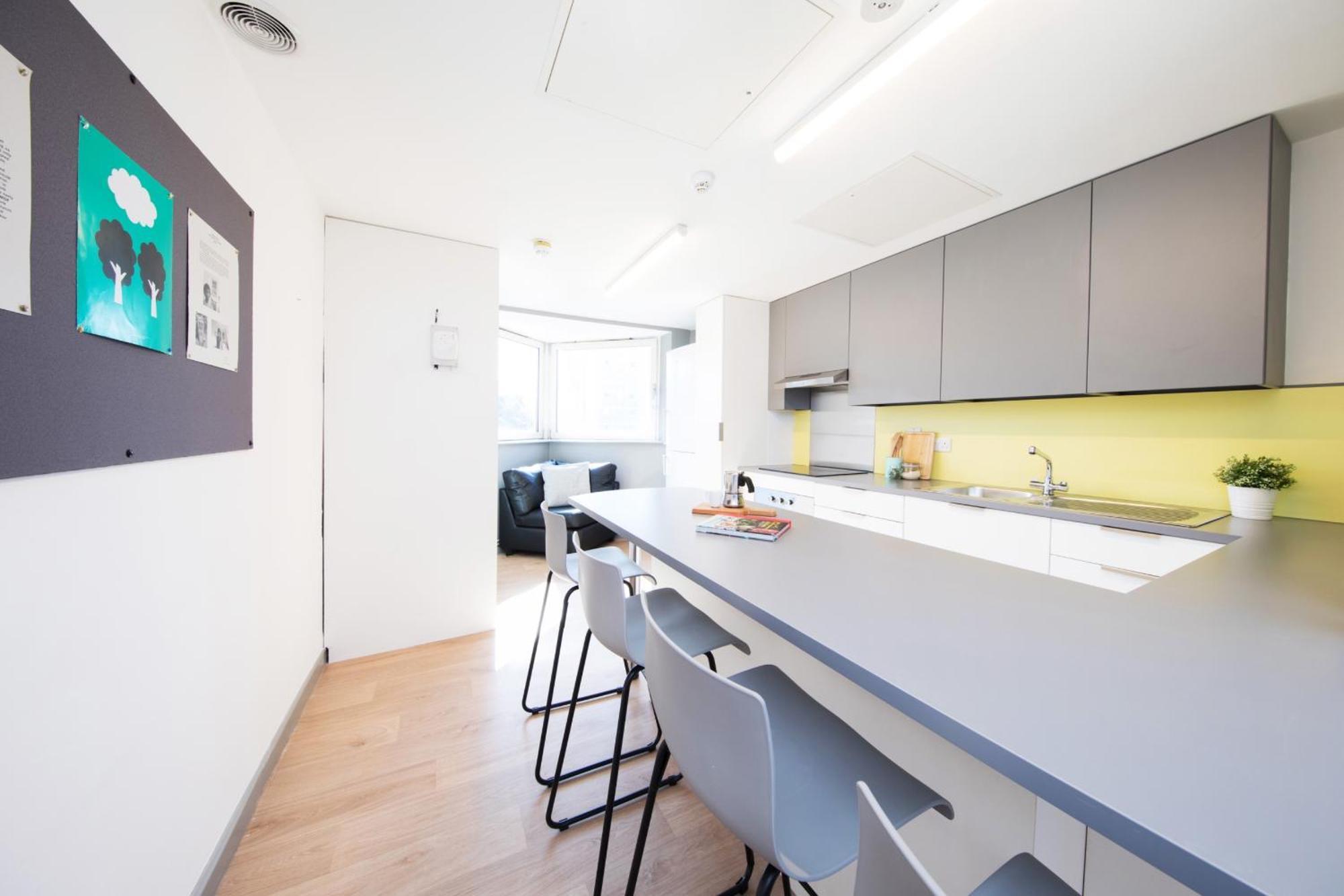 Accommodatie bij particulieren Student Only, Ensuite In A At