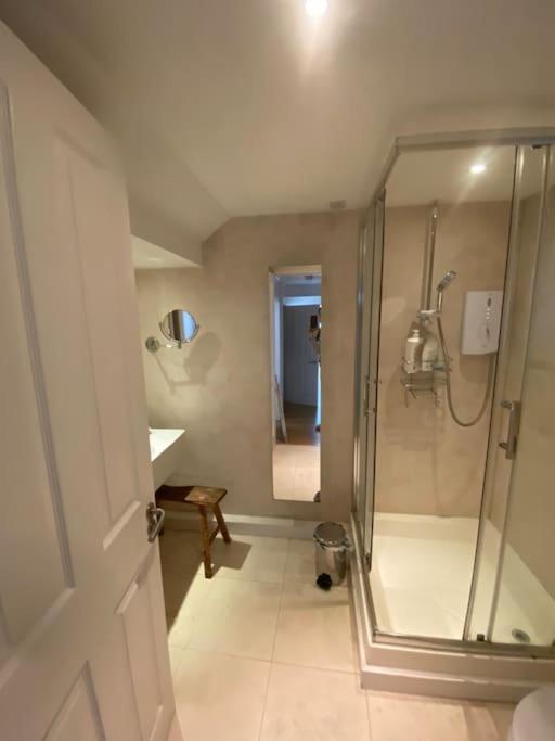 Spacious And Light West Basement Flat Apartment *
