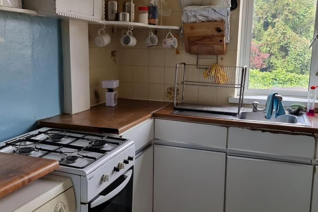Apartment Entire Flat In Alexandra Palace *
