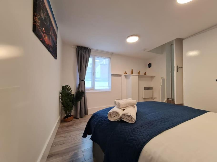 Stylish And Spacious 1 Bedroom Kensal Tube 1a Londra