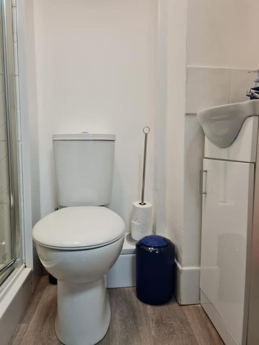 Stylish And Spacious 1 Bedroom Kensal Tube 1a * Londra