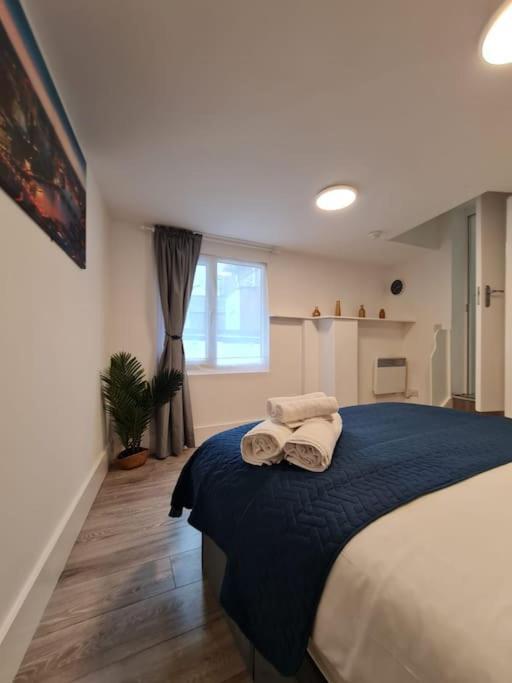 Stylish And Spacious 1 Bedroom Kensal Tube 1a Londra