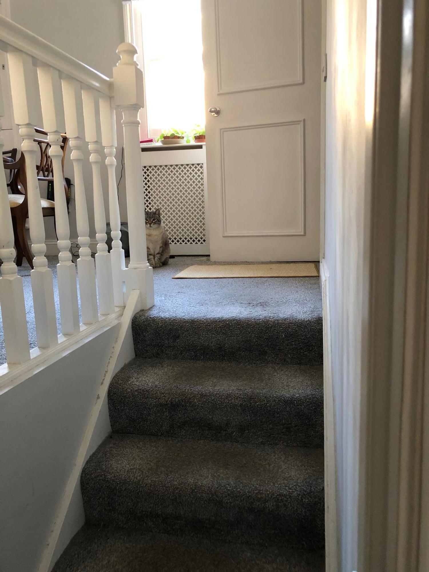 Shared House - Private With Dedicated Guest Bathroom Near Paddington Rum i privatbostad *