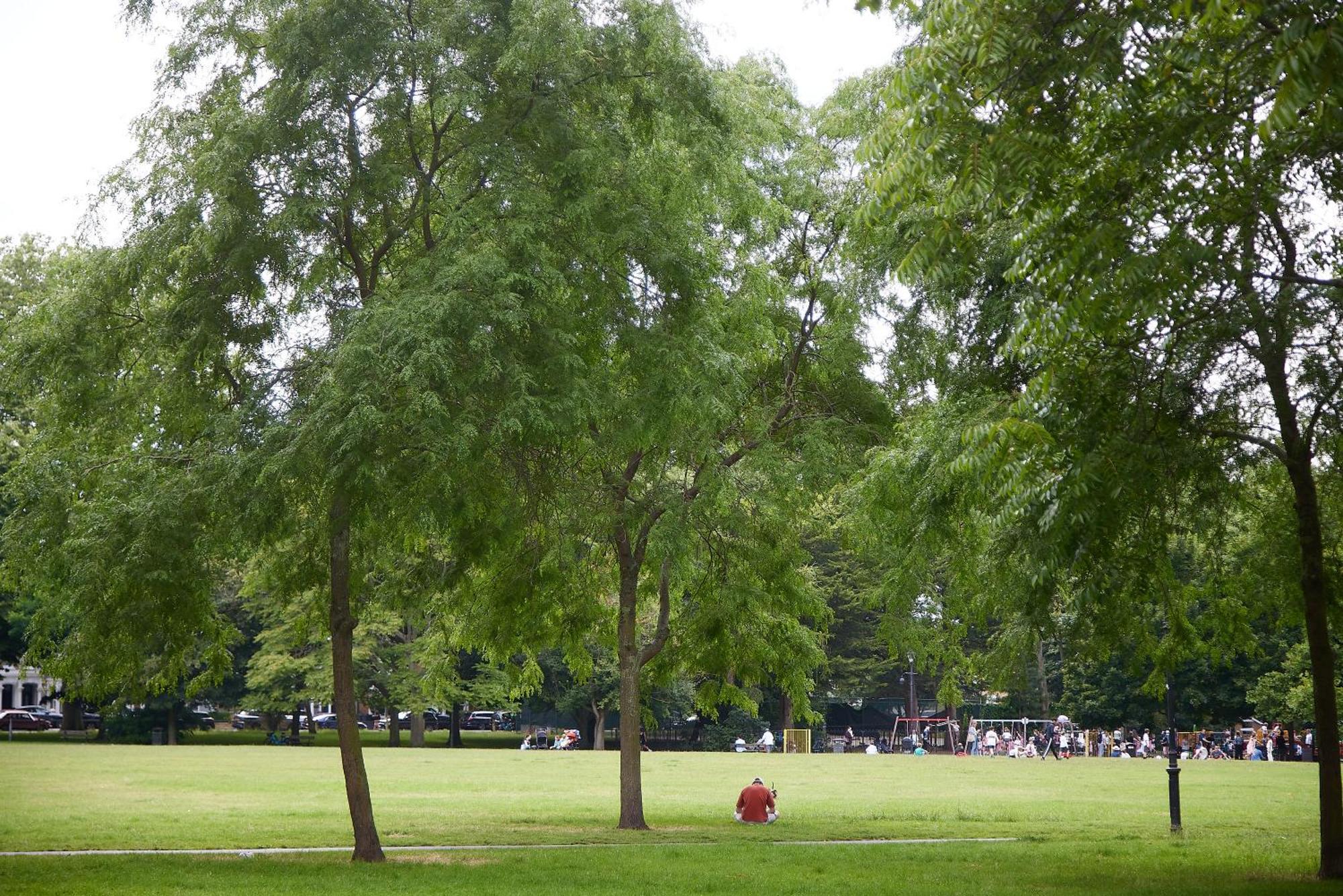 Your Ideal Getaway - Charming Haven London