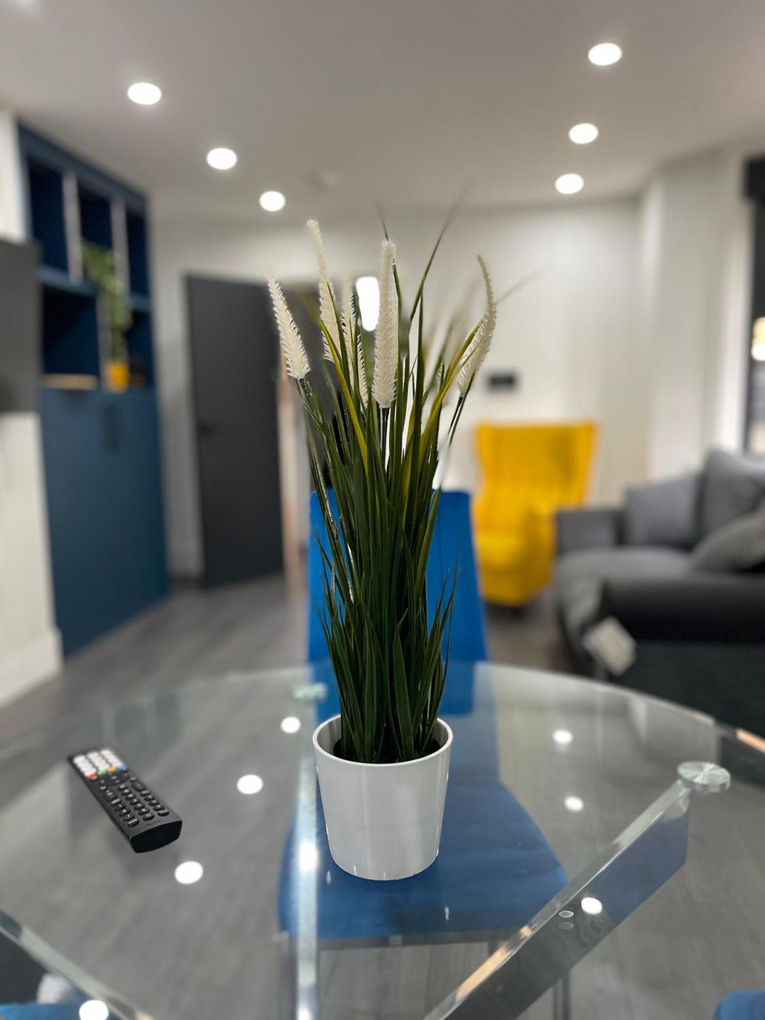Luxury In Vibrant Area Privatunterkunft London