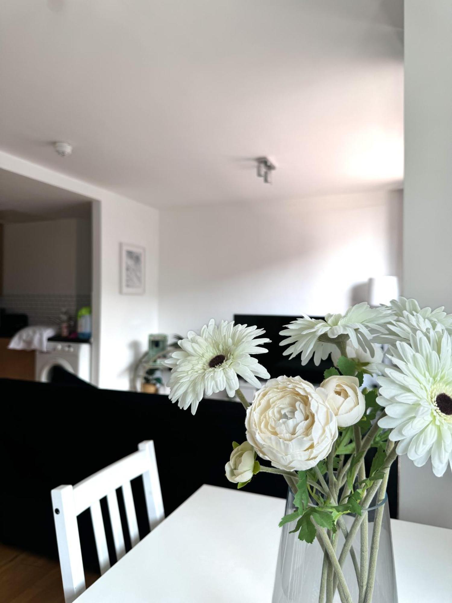 Apartment Cozy Overlooking Emirates Stadium London
