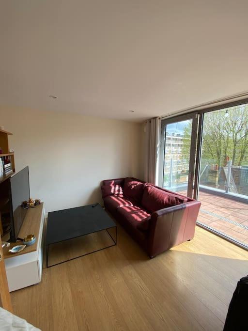 Apartment Floor 1bed With Balcony, View *