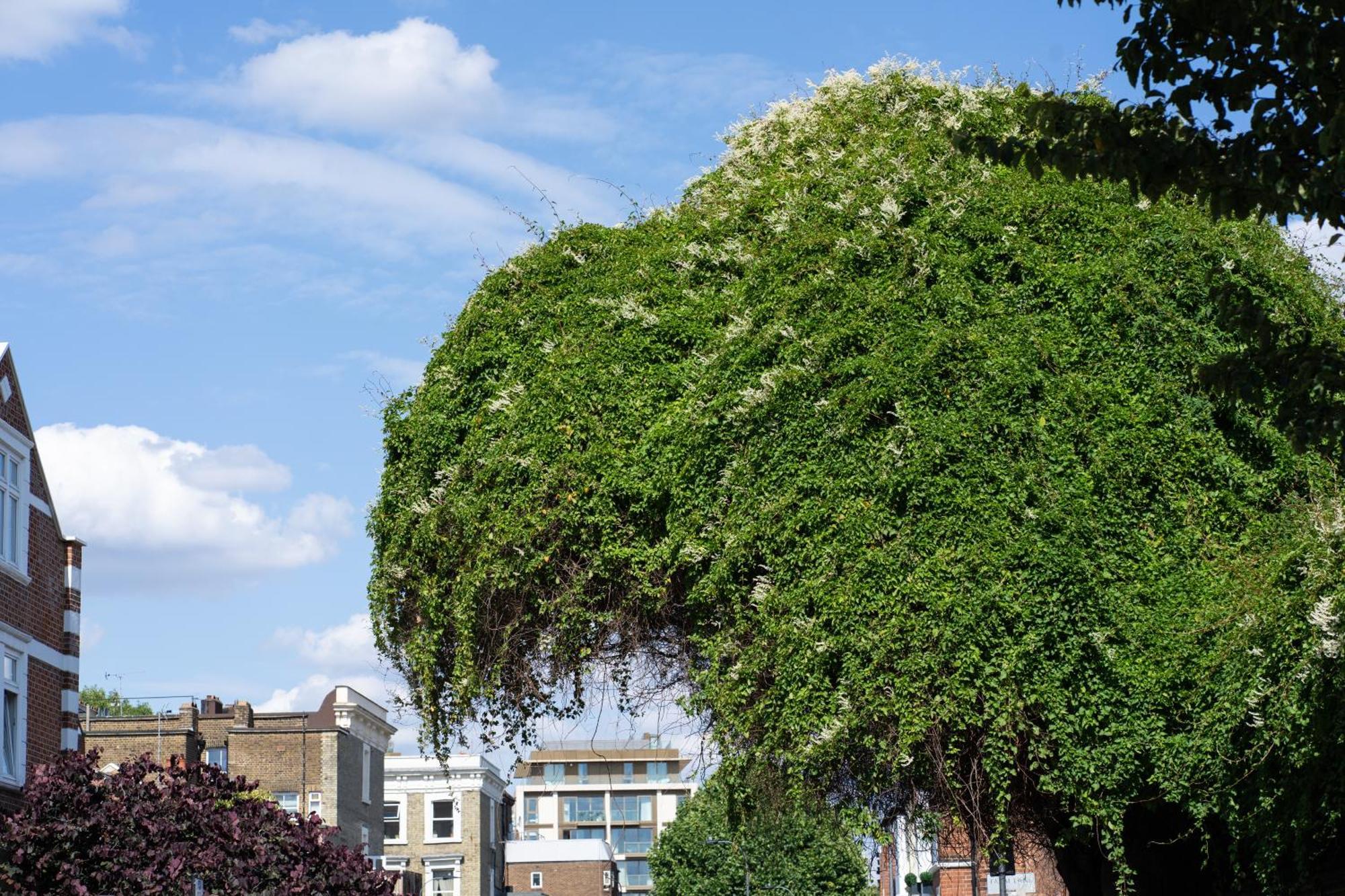 Lejlighed Fulham Luxury Close To Underground Newly Refurbished Hr