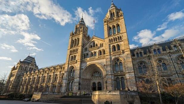 1-bed Apartment, Close To Kensington Olympia With Free Wi-fi & Netflix Appartamento Londra