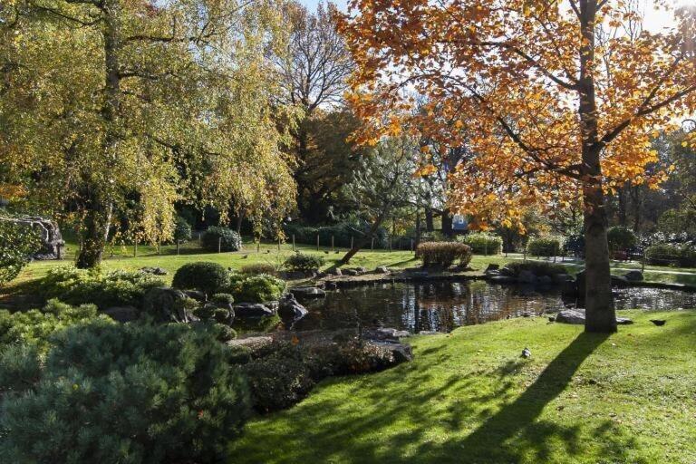 Appartamento 1-bed Apartment, Close To Kensington Olympia With Free Wi-fi & Netflix