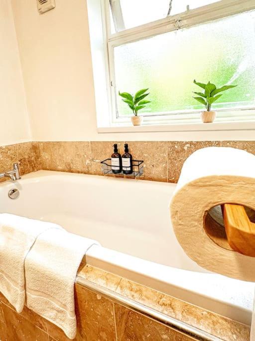 Oasis Split Level Flat In Zone 1 * Londen