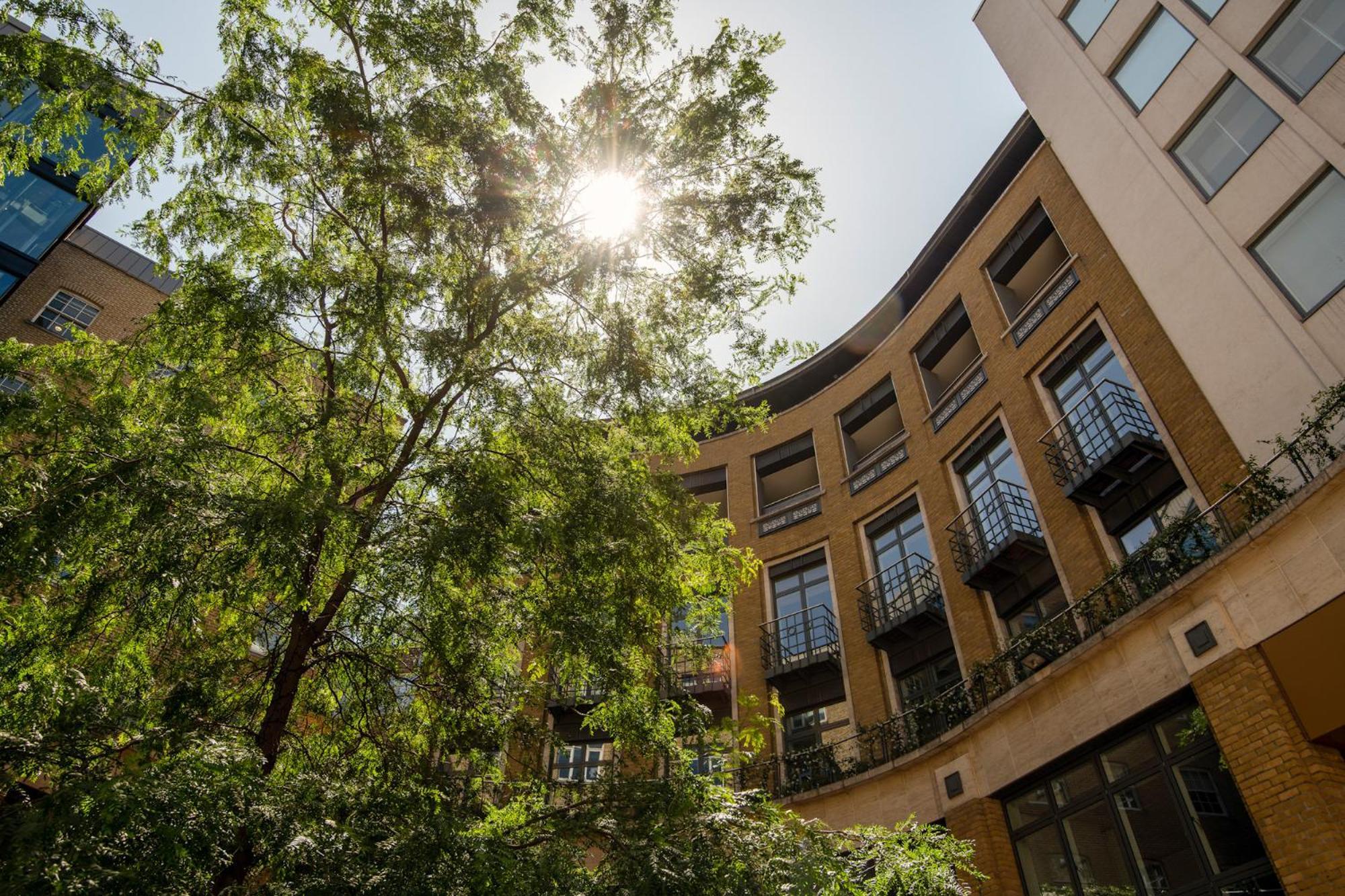 Apartment Cove St Martin's London