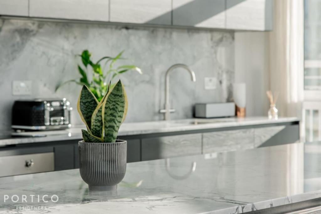 Portico Residences - Stunning Penthouse With River Views In Battersea Apartment