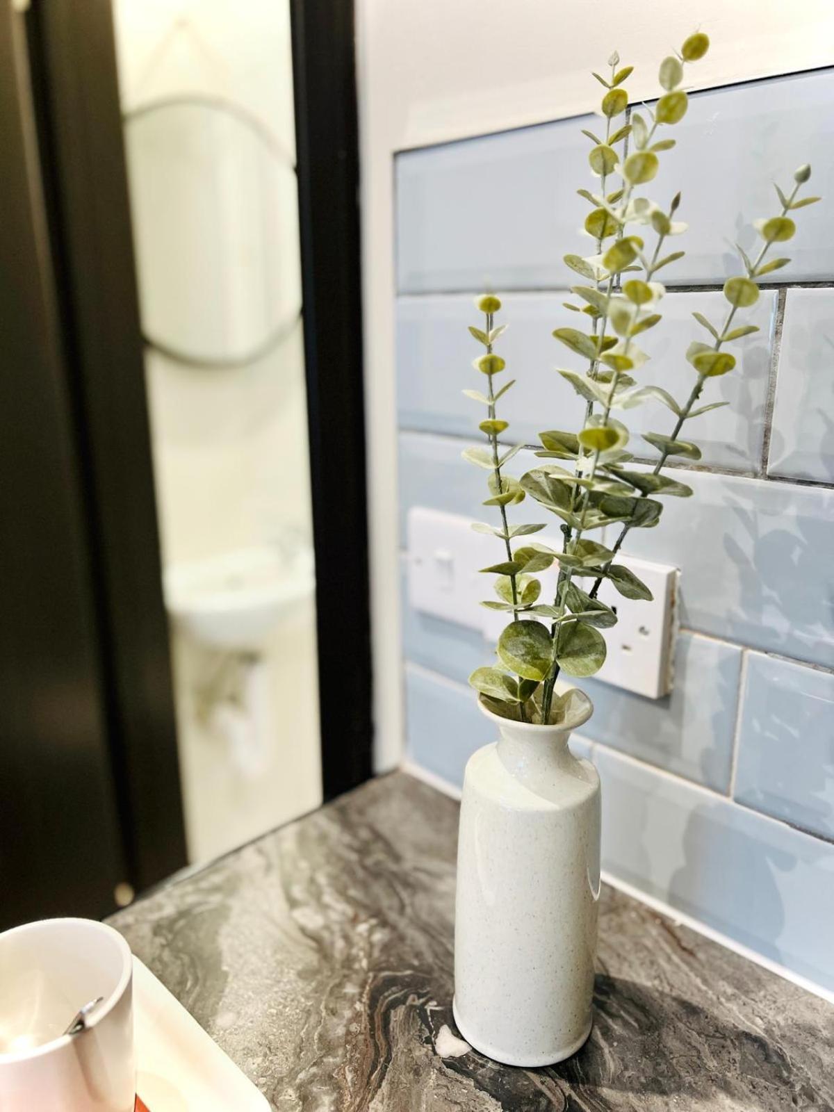 Luxury Flats, Location For Tourists Apartment