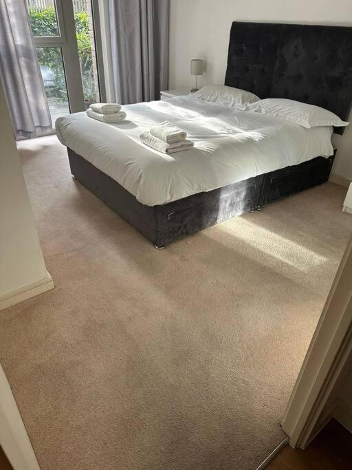 Modern One Bed Flat, Near City Airport ,excel Centre, Dlr & Barrier Park * London