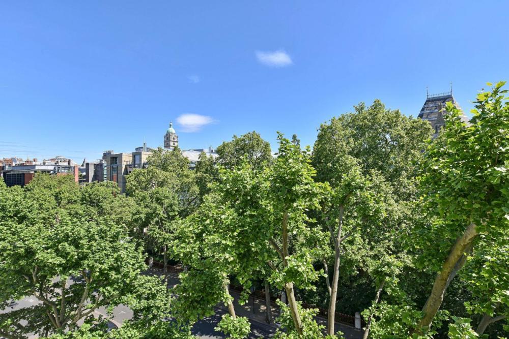 Renovu Premium Homes In Kensington Lägenhet