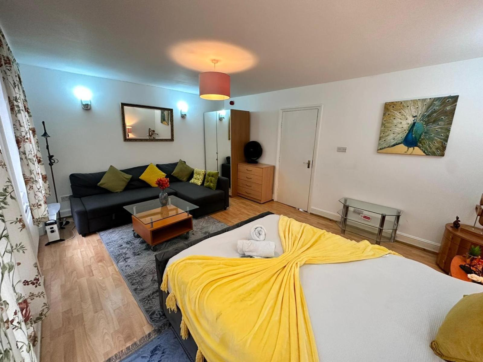 Bright Studio In Central Apartment