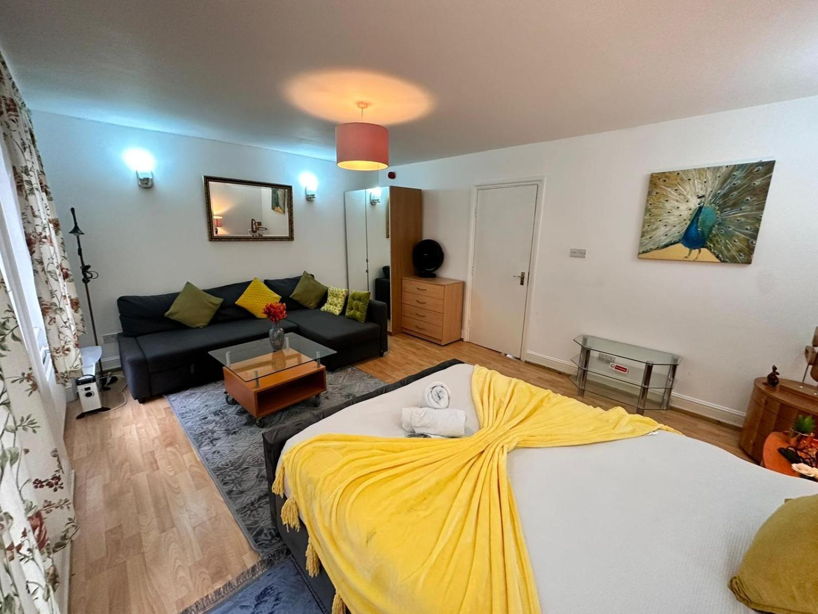 Bright Studio In Central Appartement