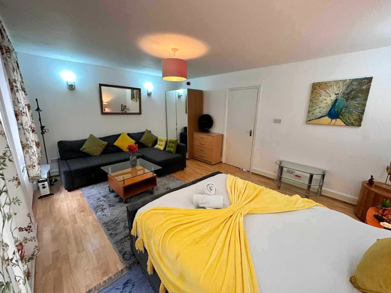 Bright Studio In Central Appartement