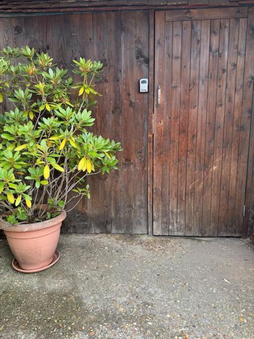Garden Flat In Appartamento *
