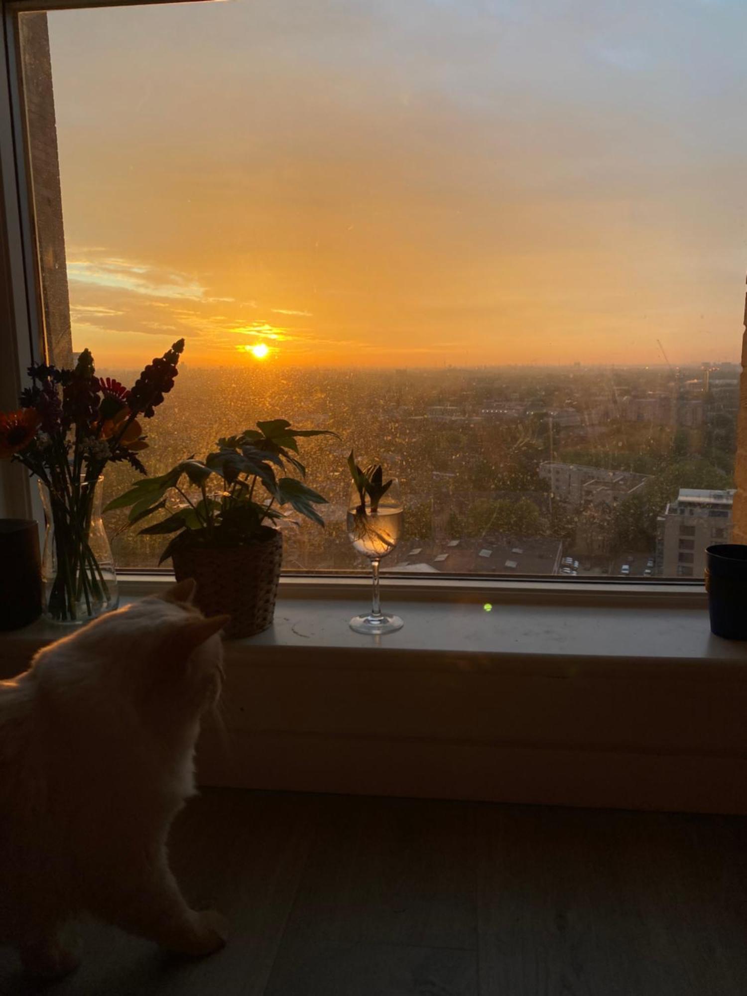 Appartamento Cozy Flat With Stunning Views *