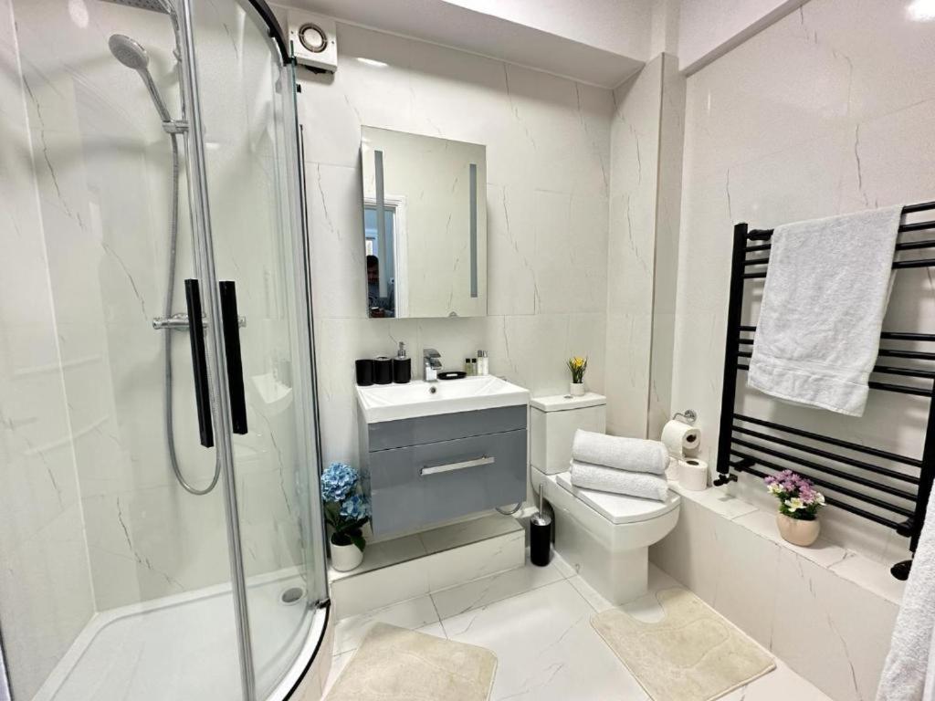 Apartment Comfortable Near Hyde Park *