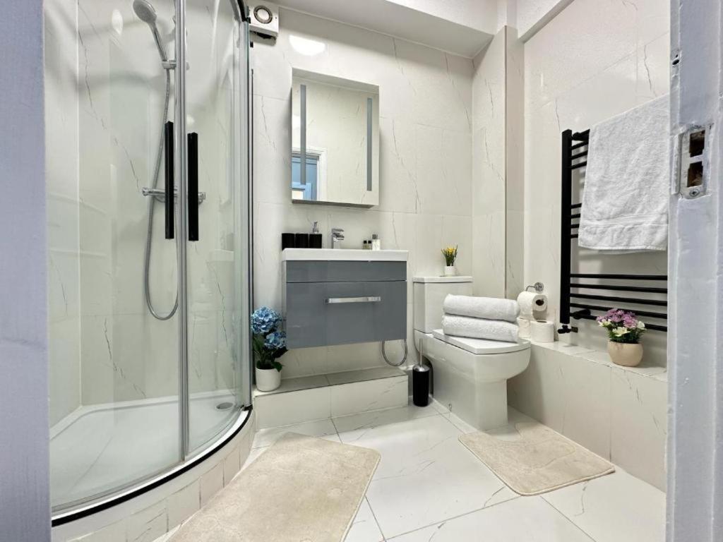 Apartment Comfortable Near Hyde Park *