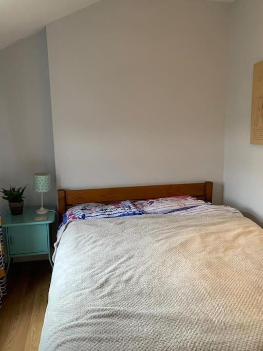 7 Bedroom Victorian House Zone 2 Londen