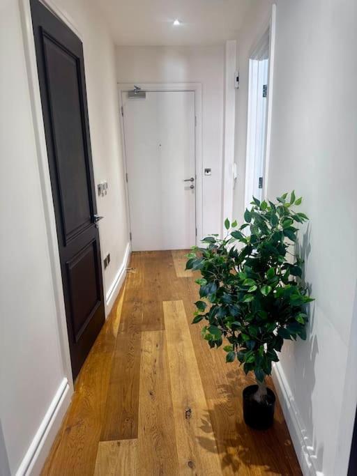 Appartamento Lovely 1bed Flat Kensington