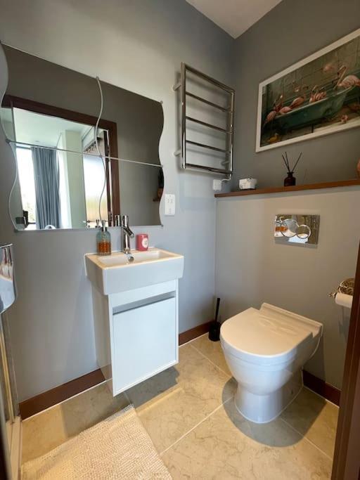 The Urban Green! Cosy Luxury In Chiswick * Londen