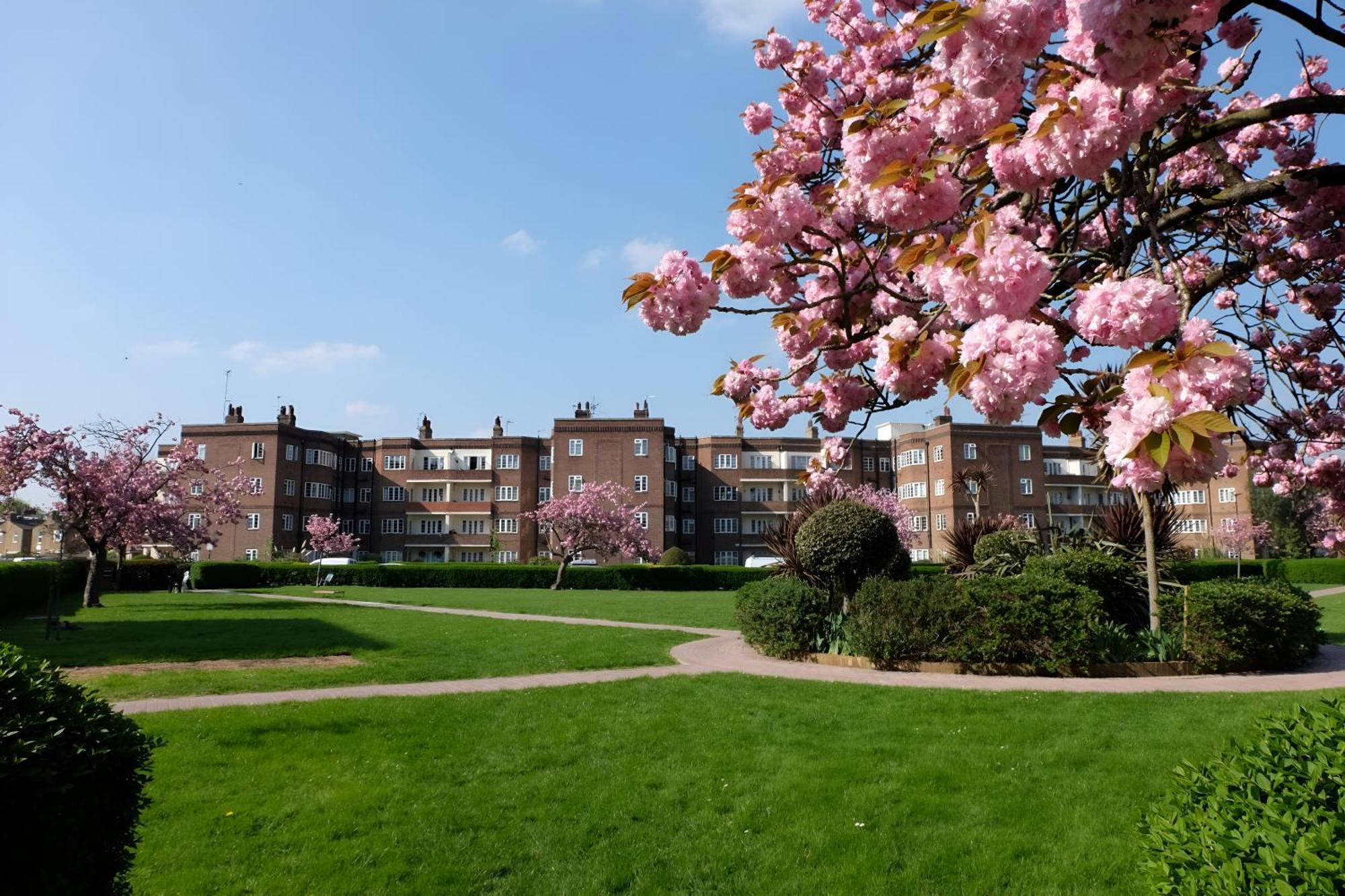 Appartement Three Bedroom - Perfect For Large Groups *
