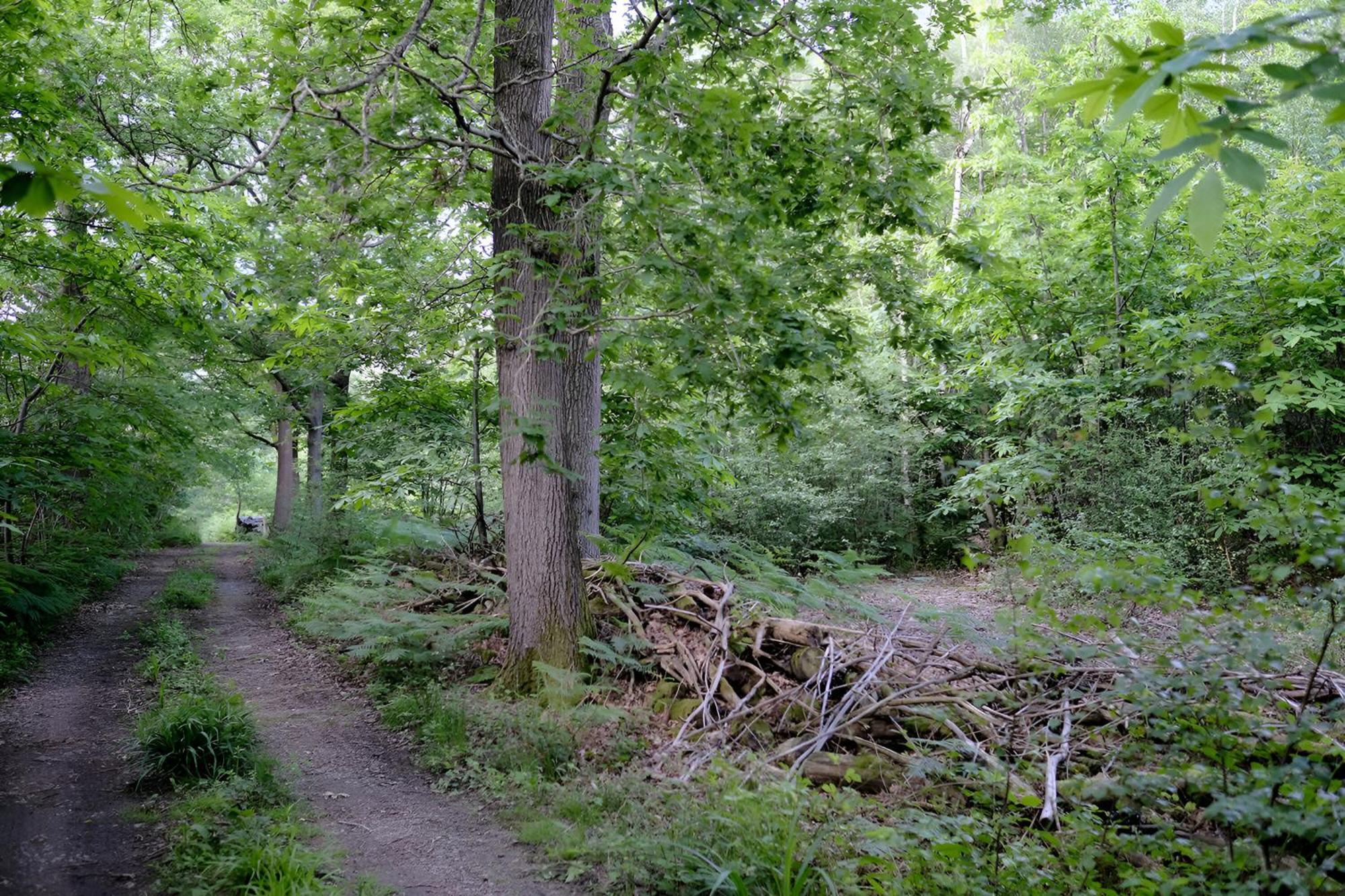 Lejlighed Neutral Zen Serene Sanctuary London