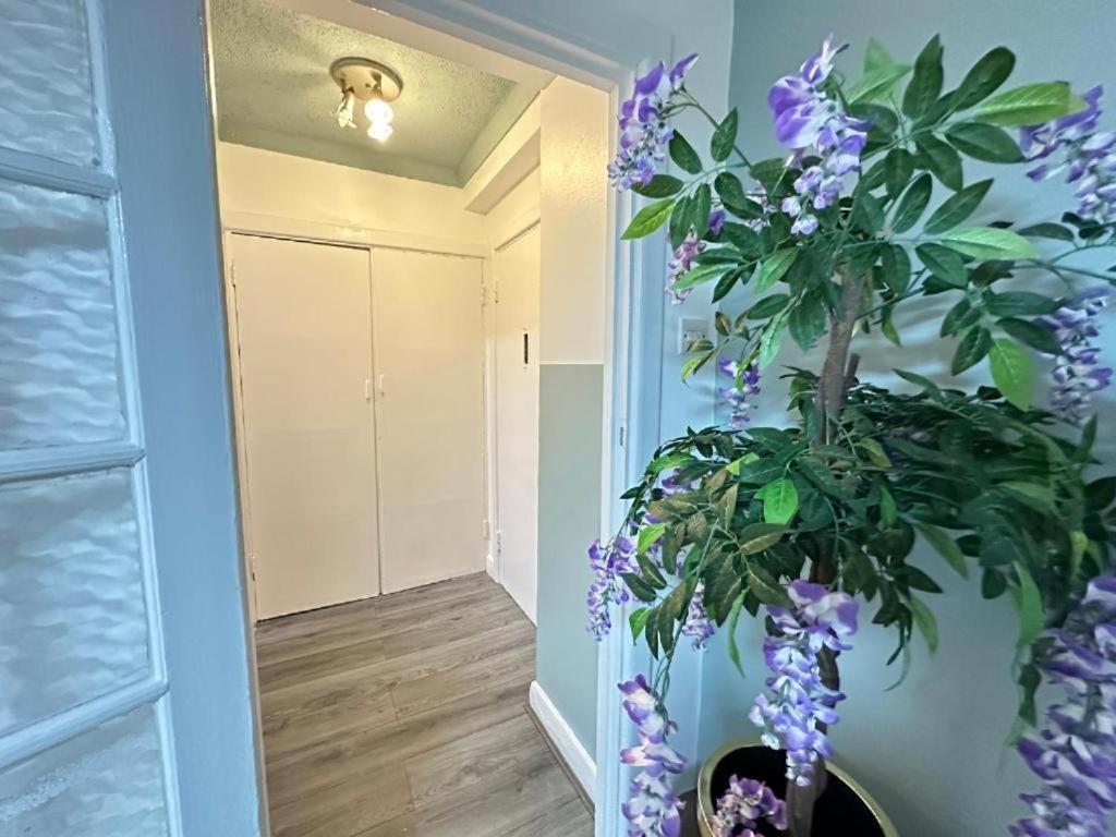 Appartamento Beautiful Studio Central *